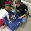 Children are testing ice water with fur and fat plastic bags.
